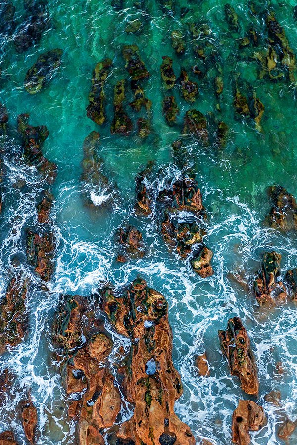 Spl 2025 Homepage Banner V1