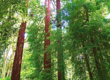 GIM Stewardship Report 2024 Cover