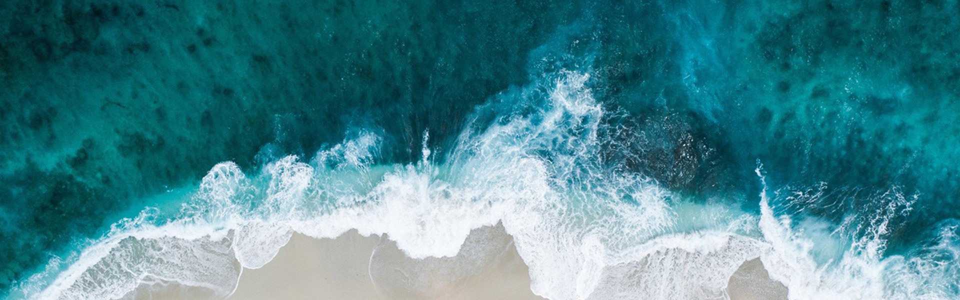 B The Investment Eco System