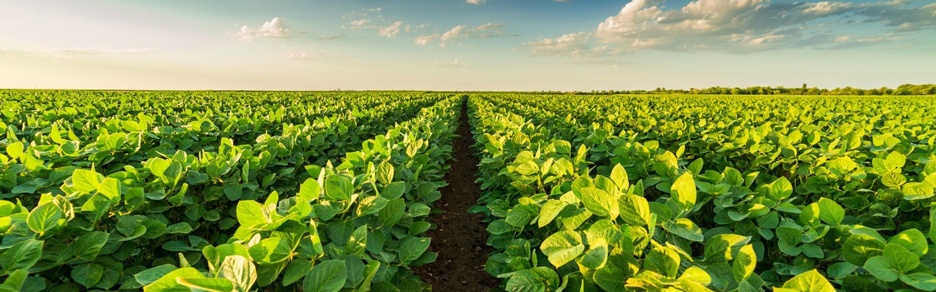 B Sustainable Agricultural Systems