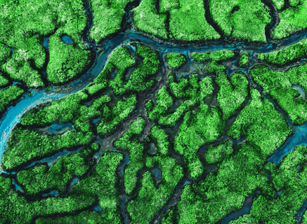 Sustainability And Impact Report 2023