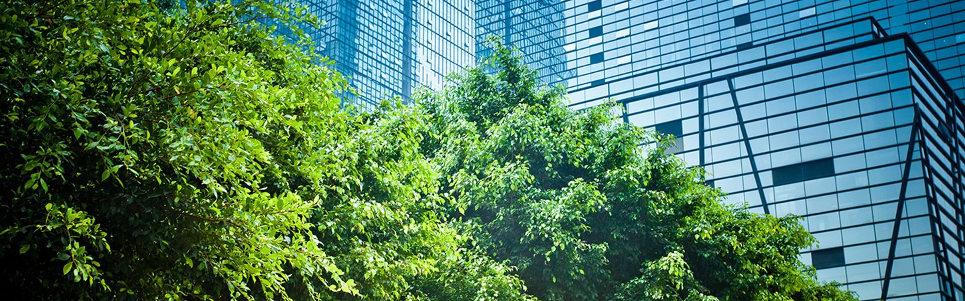 Th Deep Decarbonisation2